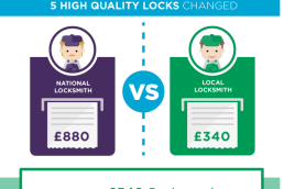 dr-locks-infographic-charlotte-overton-itchypalm-graphic-design